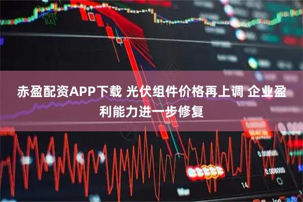 赤盈配资APP下载 光伏组件价格再上调 企业盈利能力进一步修复